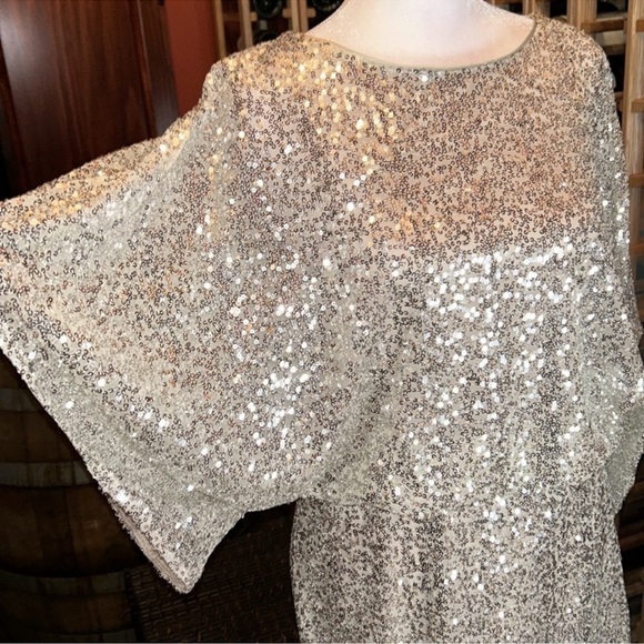 JESSICA HOWARD Stunning Sequin Mesh Dolman Sleeve Blouson Sheath Dress Size 6 - Picture 6 of 11